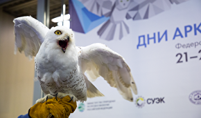 Открытие Федерального арктического форума «Дни Арктики в Москве»